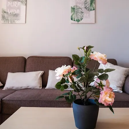 Medano Sunny Apartment *